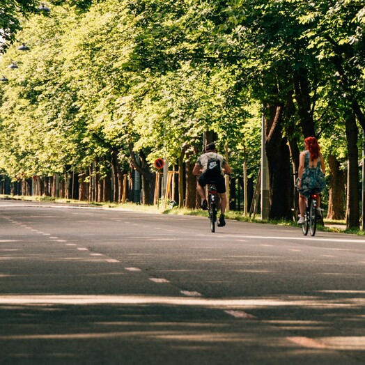 Wien Hauptallee im Prater