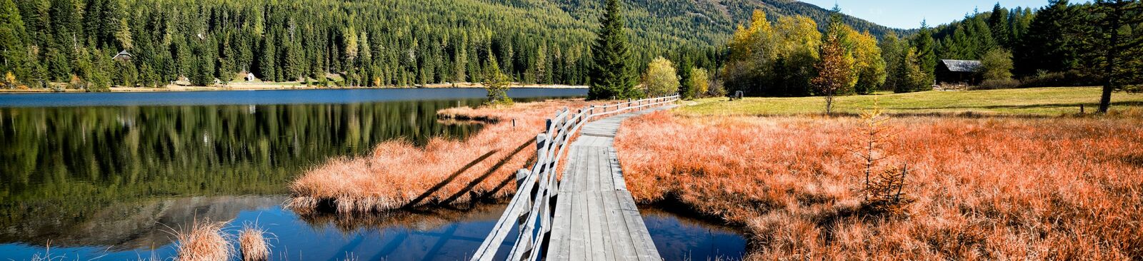 Rund um den Prebersee verläuft ein Rollstuhl- und Kinderwagentauglicher Moorlehrpfad.