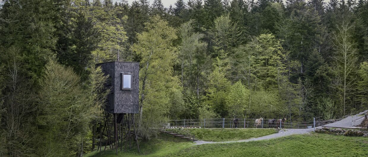Erlebnis Baumhaus Baldauf