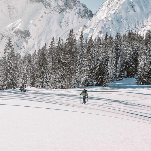 Nationalpark Gesäuse im Winter